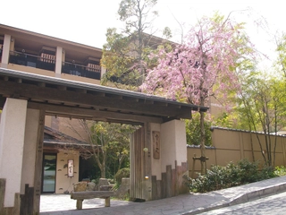【外観】桜の見頃は4月上旬~中旬頃。