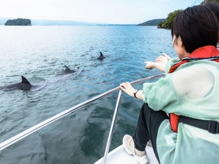 【周辺観光】イルカウォッチング