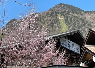 【外観】大浴場(春)