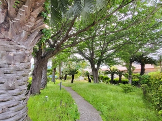 ホテル内の小道