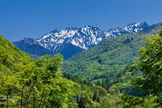 【観光:季節(夏)】新緑に囲まれた絶景の景色をお楽しみ下さい。