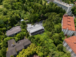 【外観】建物を上から見た図。緑に囲まれた湯宿。