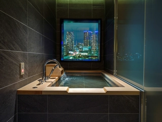 プレミアムラビスタツイン（ビューバス・バルコニー付）54平米