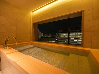 プレミアムラビスタフォース（ユニットバス付）75平米