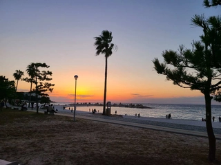 【白良浜】