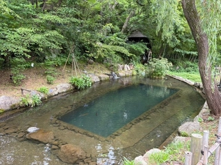 敷地内には大きな池もございます。