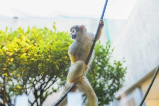 館内外動物