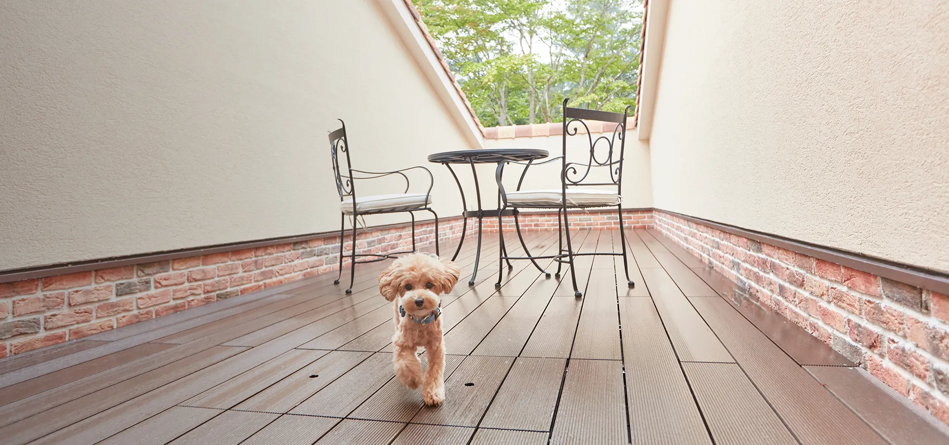 写真：ドッグランもお風呂もサロンも、愛犬が喜ぶ、遊びと癒やしの南仏リゾート