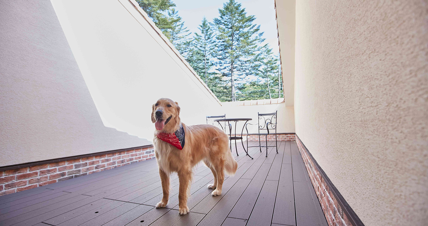 写真:ツイン(バルコニー付き)