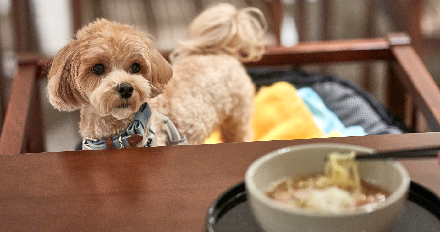夜鳴きそばも一緒