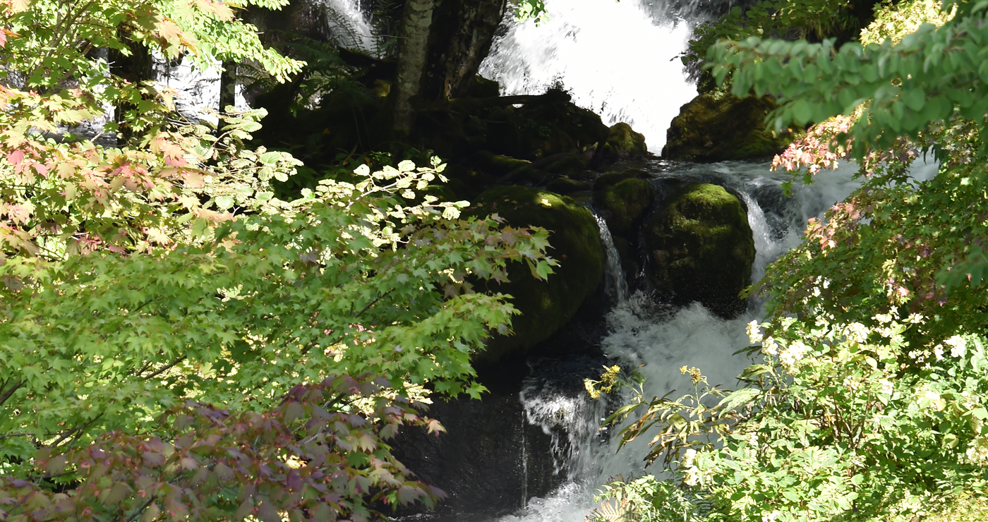 写真:和ベットのある寝室