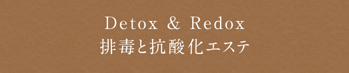 Detox & Redox 排毒と抗酸化エステ
