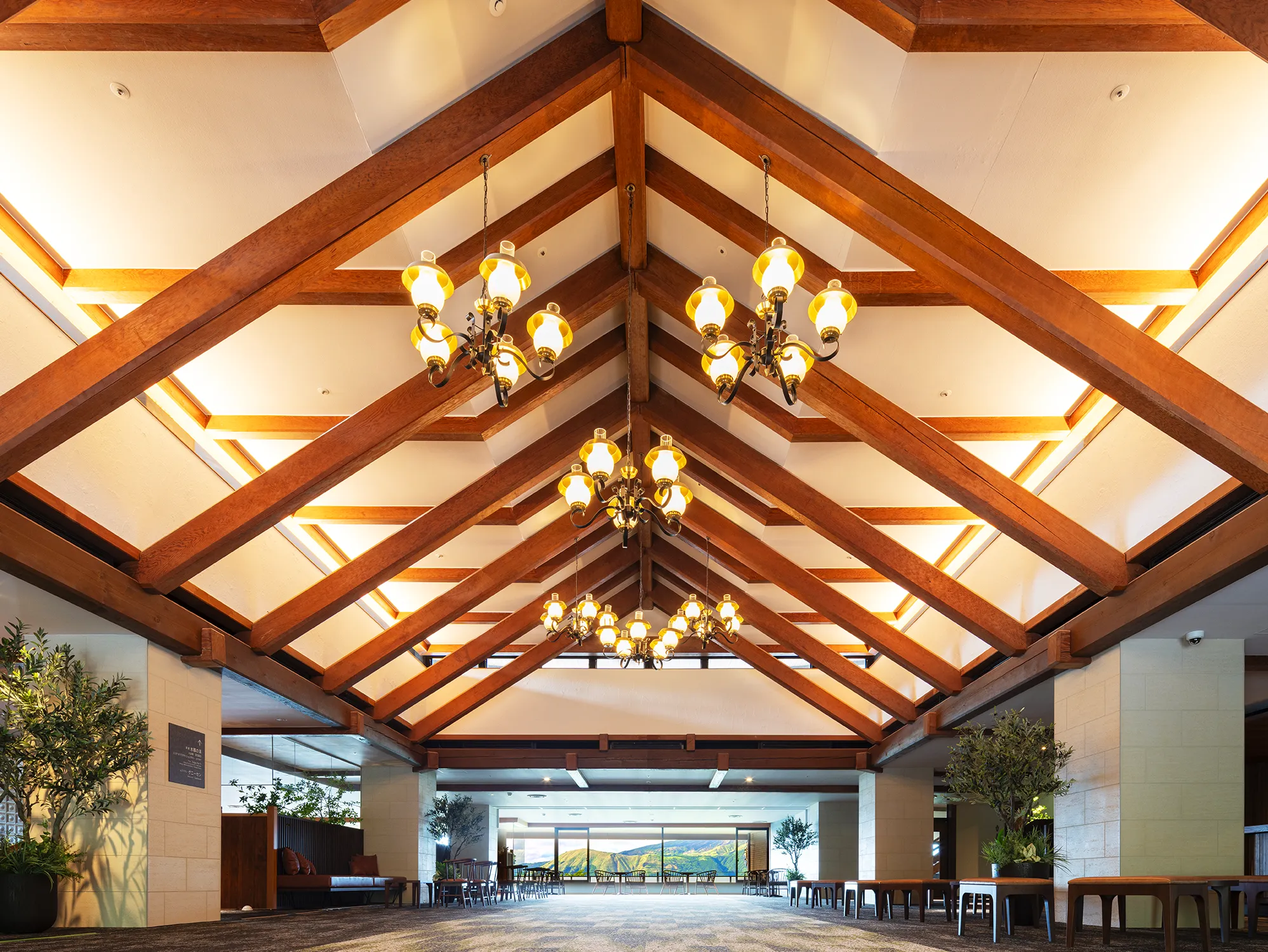 写真: