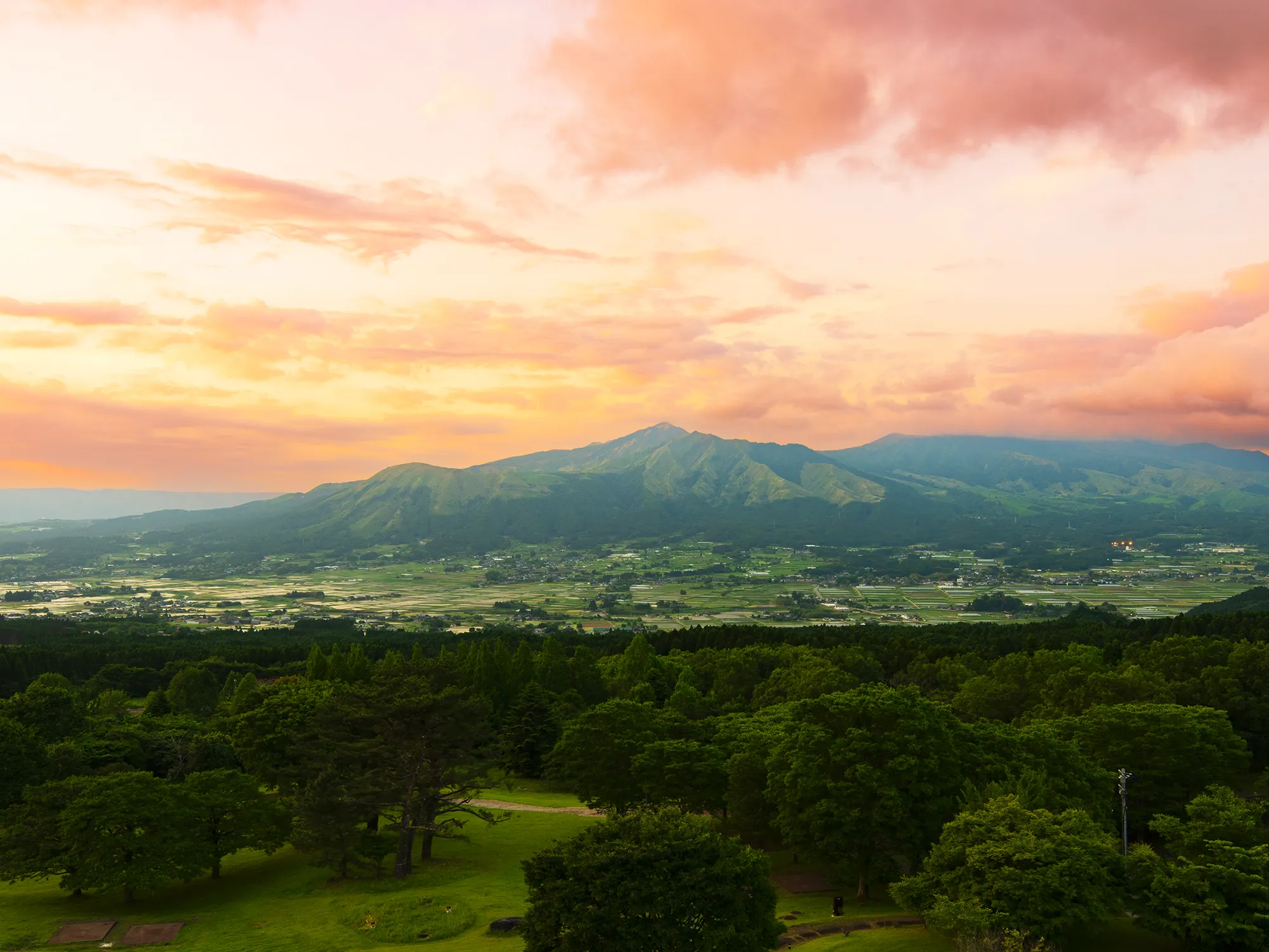 写真: