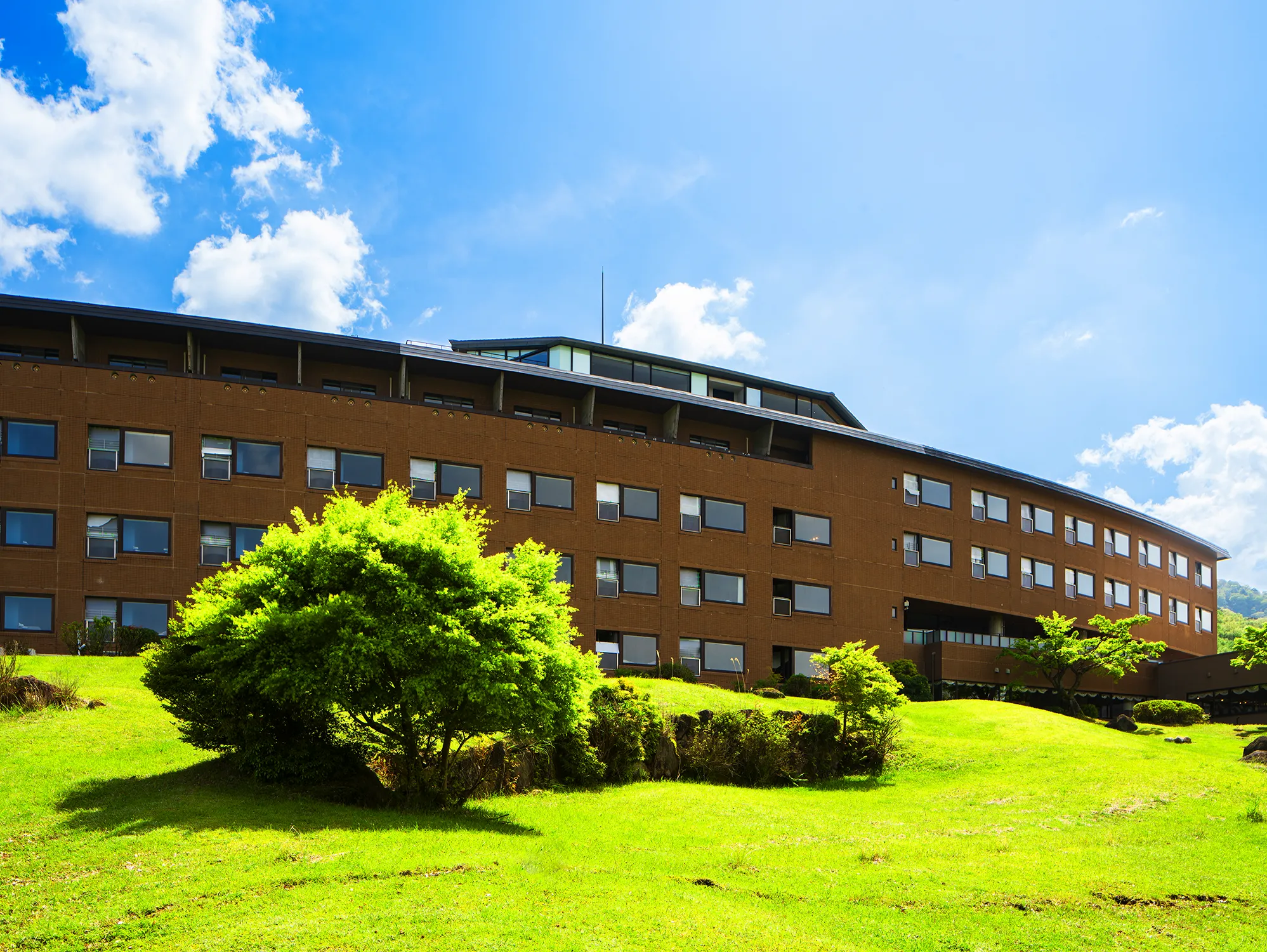写真: