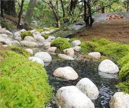 庭園を流れる小川