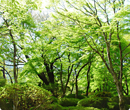 蓬莱園