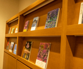 木の温もりを感じる本棚に並ぶ書籍と雑誌