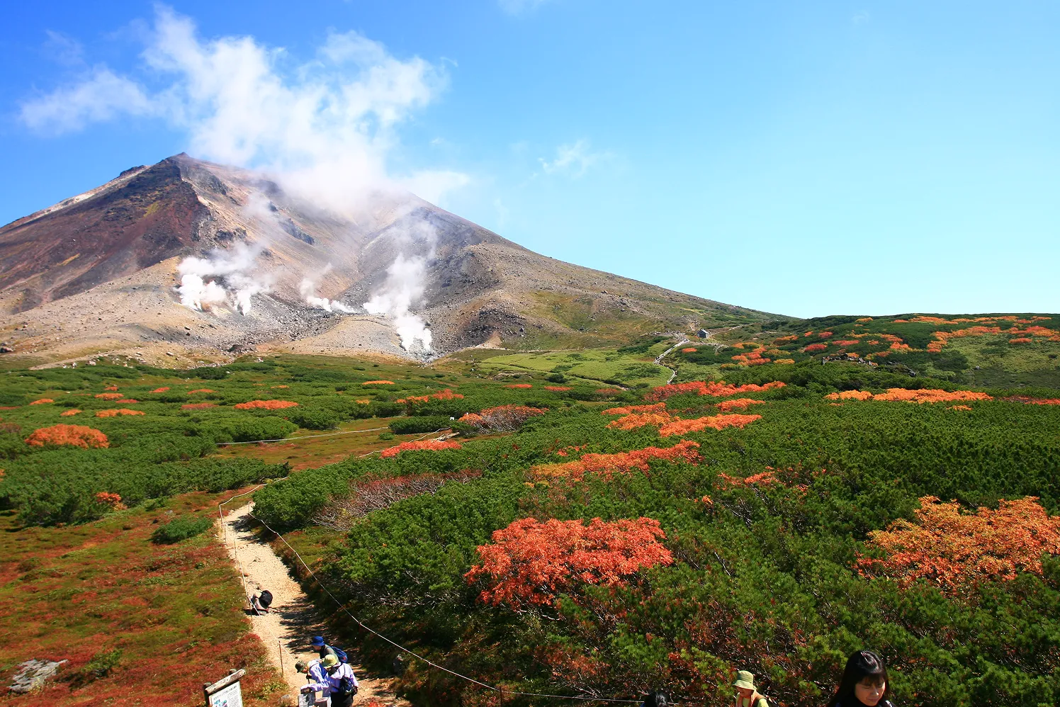 9月上旬から山肌を鮮やかに彩る秋の木々