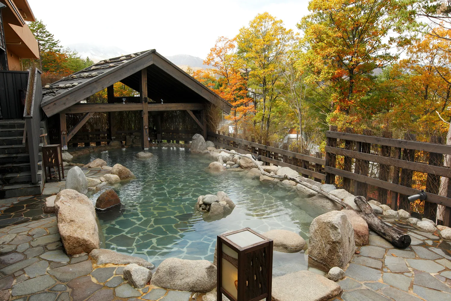 館内からの紅葉