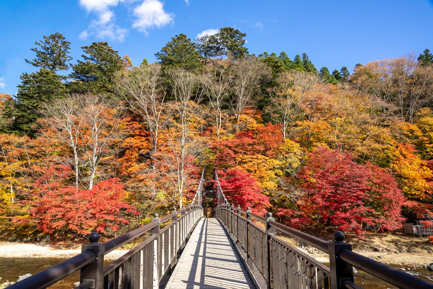 「紅の吊橋」