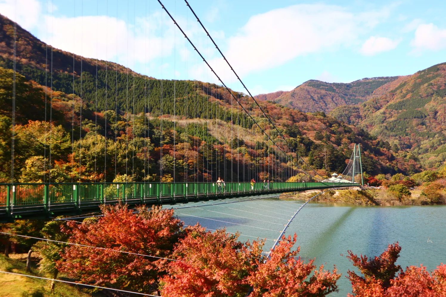 「もみじ谷大吊橋」