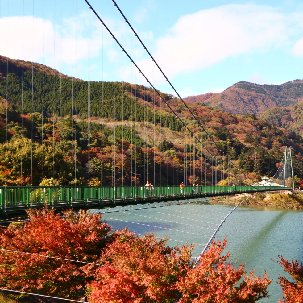 塩の湯温泉 蓮月