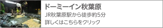 共立リゾート